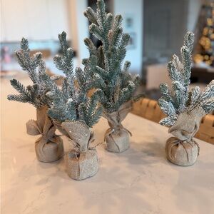 Snow-Kissed Burlap Wrapped Pine Trees